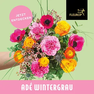 Blumen Schnack Neustadt, Tradition von 100 Jahren, Kirchhofsallee 12, 23730 Neustadt/Holstein, Friedhof, Rudolf Schnack, Joachim Schnack, Blumen, Schnittblumen, Hochzeitsfloristik, Trauerschmuck, Dekoration, Terrassenbepflanzung, Fleurop