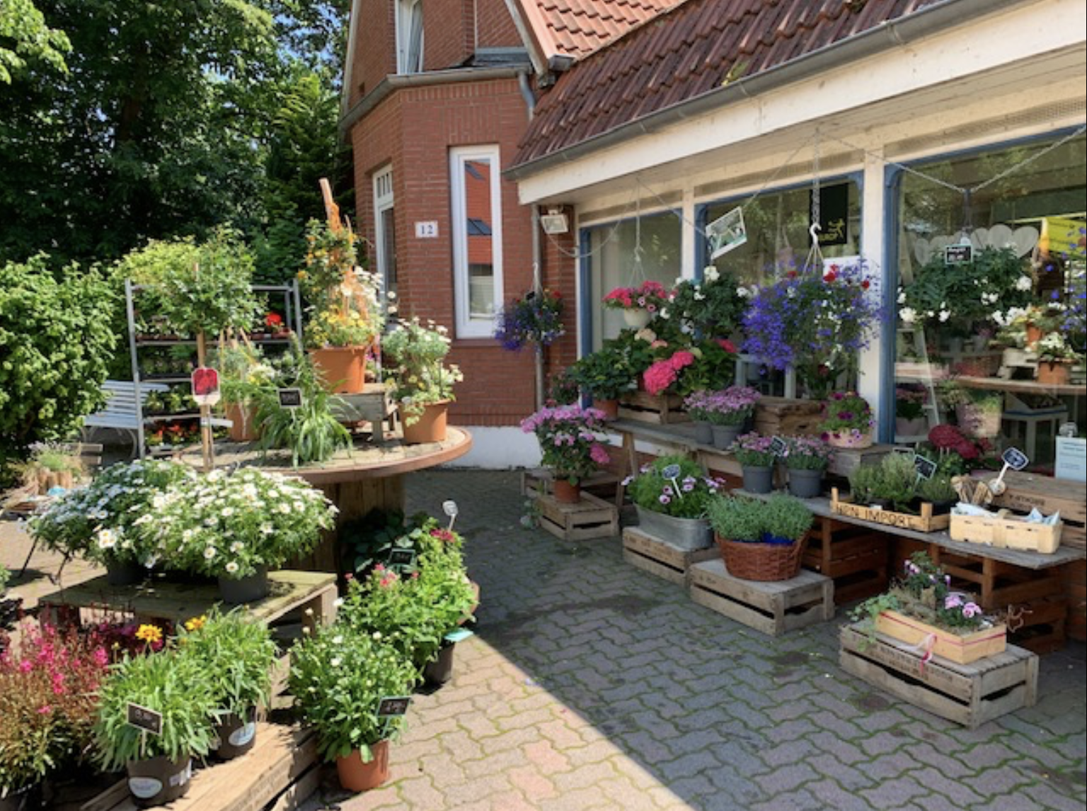 Blumen Schnack Neustadt, Tradition von 100 Jahren, Kirchhofsallee 12, 23730 Neustadt/Holstein, Friedhof, Rudolf Schnack, Joachim Schnack, Blumen, Schnittblumen, Hochzeitsfloristik, Trauerschmuck, Dekoration, Terrassenbepflanzung, Fleurop