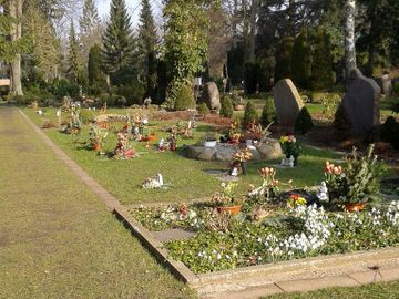 Blumen Schnack Neustadt, Tradition von 100 Jahren, Kirchhofsallee 12, 23730 Neustadt/Holstein, Friedhof, Rudolf Schnack, Joachim Schnack, Blumen, Schnittblumen, Hochzeitsfloristik, Trauerschmuck, Dekoration, Terrassenbepflanzung, Fleurop