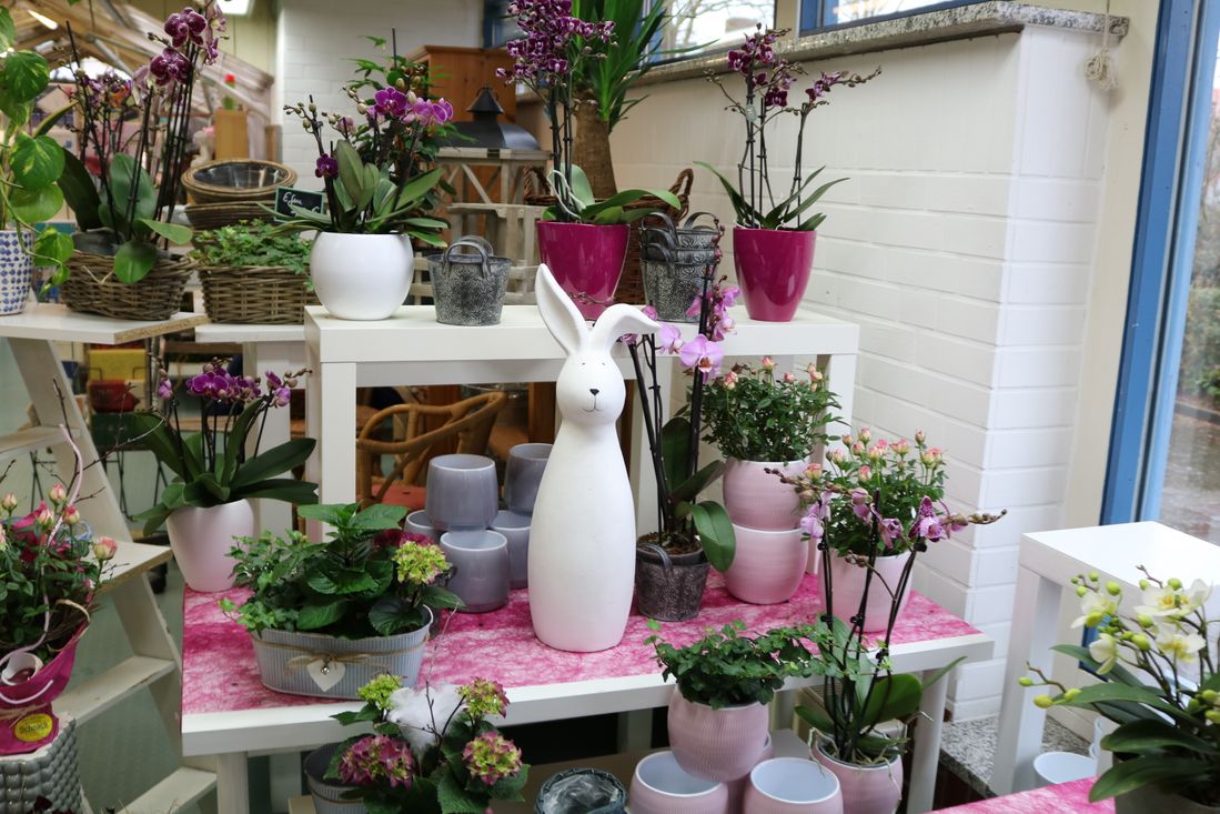 Blumen Schnack Neustadt, Tradition von 100 Jahren, Kirchhofsallee 12, 23730 Neustadt/Holstein, Friedhof, Rudolf Schnack, Joachim Schnack, Blumen, Schnittblumen, Hochzeitsfloristik, Trauerschmuck, Dekoration, Terrassenbepflanzung, Fleurop