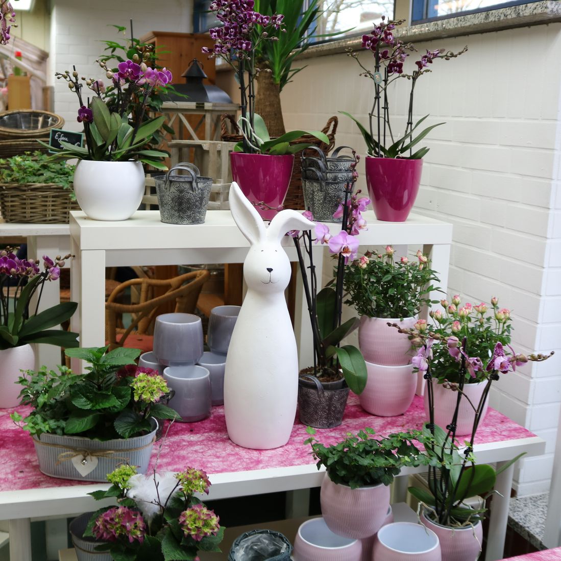 Blumen Schnack Neustadt, Tradition von 100 Jahren, Kirchhofsallee 12, 23730 Neustadt/Holstein, Friedhof, Rudolf Schnack, Joachim Schnack, Blumen, Schnittblumen, Hochzeitsfloristik, Trauerschmuck, Dekoration, Terrassenbepflanzung, Fleurop